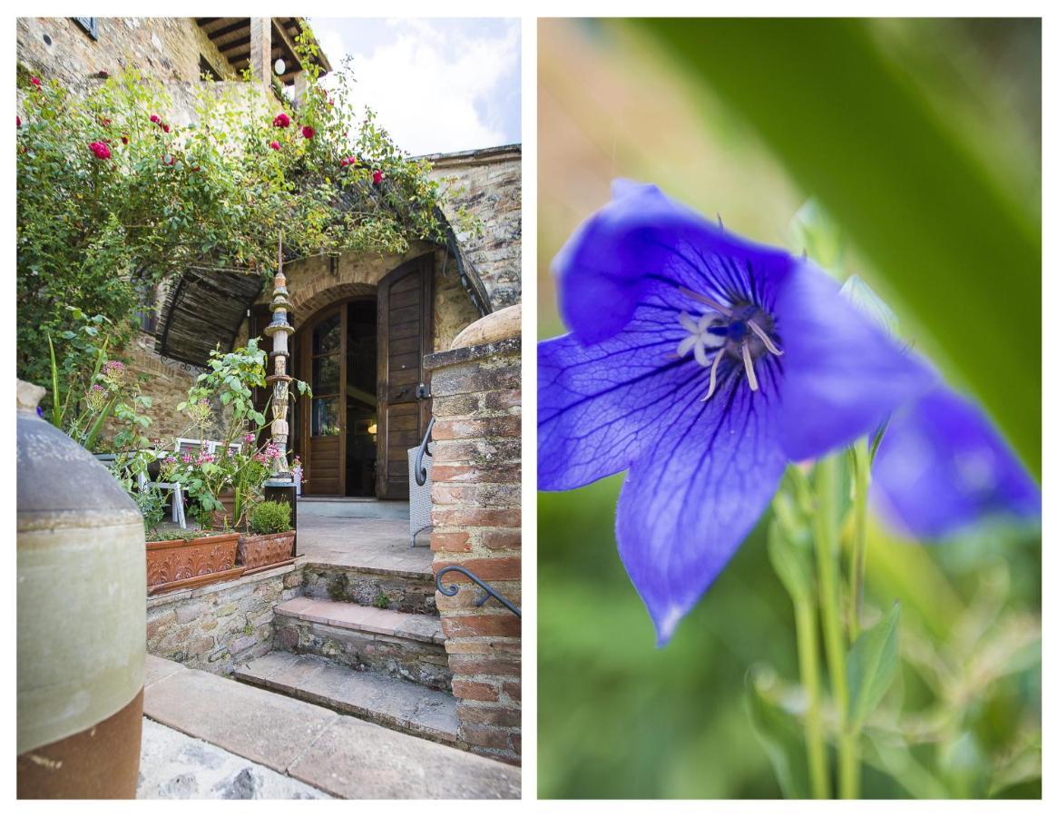 Villa Le Rose Di Montagnana San Gimignano Exterior foto
